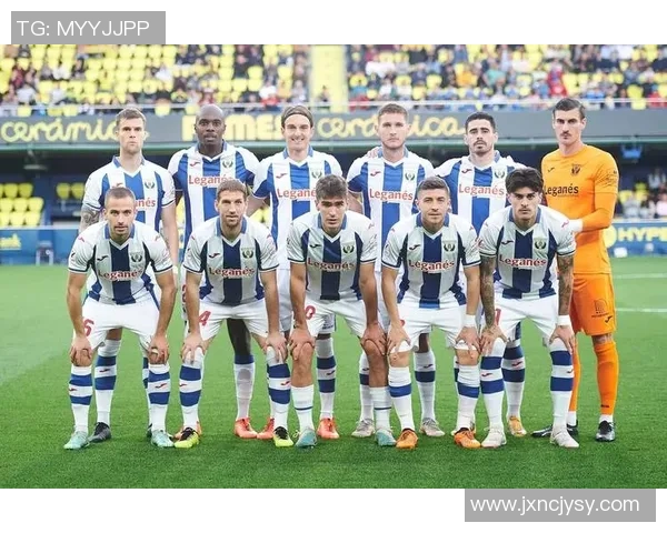 足球明星与娱乐明星的职业特点与社会影响力的深度对比分析